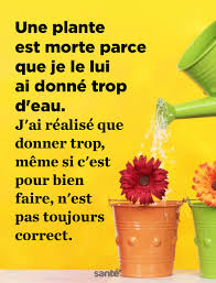 Citations Citation Citation Qui Fait Reflechir Citations Inspirantes