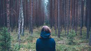 Can't see the forest for the trees an expression used of someone who is too involved in the details of a problem to look at the situation as a whole: I Can T See The Forest For The Trees Marieka Lake
