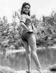 Pin By Tony On Vintage Swoon Mary Ann And Ginger Gilligan S Island Photo