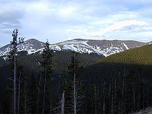 We offer variety of tree care services, stump removal, lot clearing, tree trimming, maintenance services and consulting options with 100% satisfaction, guaranteed. Tree Line Wikipedia
