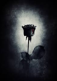 We would like to show you a description here but the site won't allow us. Black Rose Wallpaper For Mobile