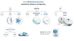 De producten van velo zijn zonder tabak en dus eigenlijk geen officiële snus meer maar iedereen kent het nog steeds als 'snus'. Nicotine Pouches Tobaccotactics
