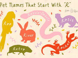 Exotic Pet Names That Start With R