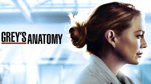 A drama centered on the personal and professional lives of five surgical interns and their 10 may 2021. How To Watch Grey S Anatomy Online Stream Every New Season 17 Episode From Anywhere Techradar