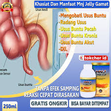 Yang bisa langsung anda praktekan di rumah. Jual Obat Alami Radang Usus Terbaru Lazada Co Id