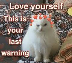 Twenty Two Inspirational Cat Memes My Landlady Emailed Me I Can Has Cheezburger
