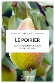 Epingle Sur Verger Fruitiers Et Petits Fruits Rouges