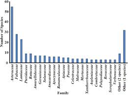 Image result for Blepharis swaziensis