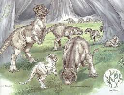 The Wildlife Of Star Wars Star Wars Species Star Wars Artwork Star Wars Art