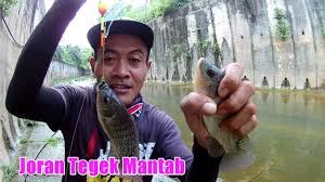 Di pasaran dijual joran, mulai dari ukuran 90 cm sampai dengan yang terpanjang 200 cm. Jaka Toak Youtube Channel Analytics And Report Powered By Noxinfluencer Mobile