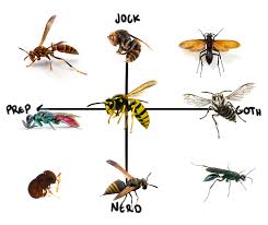 Waspappreciation Wasp Alignment Chart