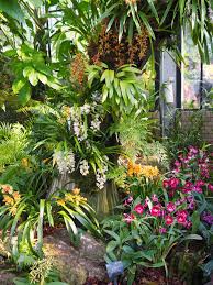 Beautiful British Gardens Visiting Kew Gardens London The Orchid Festival Around The World In 80 Pairs Of Shoes Kew Gardens Kew Gardens London British Garden
