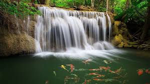 We would like to show you a description here but the site won't allow us. 2048x1152 1080p 2k 4k 5k Hd Wallpapers Free Download Wallpaper Flare