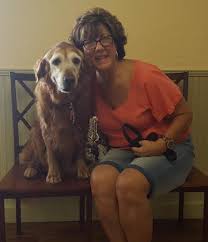 Get directions, reviews and information for all pets mobile clinic in bradenton, fl. About Pet First Animal Hospital Veterinarian In Bradenton Fl