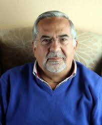 La morfología de las abejas