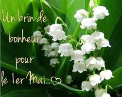 Envie de vivre - Joyeux 1er Mai (attention nous vous rappelons que le  muguet est toxique) | Facebook