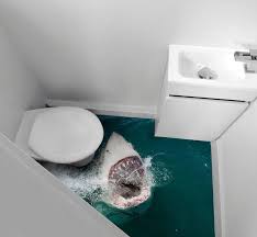 41 Strange On Twitter Shark Bathroom Decor Bathroom Mural Shark Decor