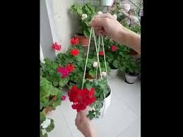 makkelijke macrame plantenhanger met maar 1 touw macrame plant hanger plant hanger macrame diy