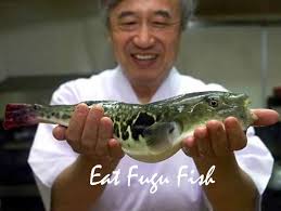 Eat Fugu Fish in Japan