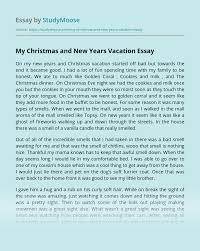 My Christmas And New Years Vacation Free Essay Example