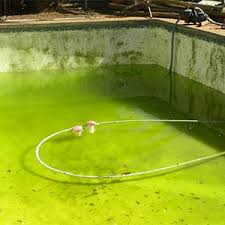 Dovrai svuotare la vasca, ripulirla con un detergente specifico per il pvc e poi riempirla nuovamente. Acqua Torbida In Piscina Prevenzione Ed Eliminazione Piscine Da Giardino