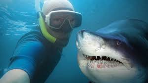 Hector abad faciolince en appelle à borgès et au grand poète espagnol jorge manrique et à ces stances sur la mort de son père en conclusion de son livre. Les Selfies Font 5 Fois Plus De Morts Que Les Attaques De Requins Le Huffington Post Life