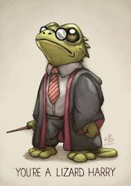 You re a lizard harry. Pin De Megan Em Harry Potter Ilustracoes Do Harry Potter Entretenimento Memes