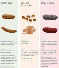 Rarely, a blockage in the bowel. What Does Your Poo Say About You And Your Health Express Co Uk
