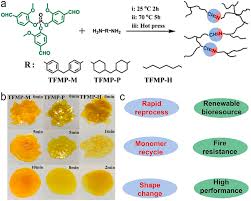 Convert 1 euro to bulgarian lev. Lignin Based Polymers