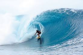 Image result for foto surfínie