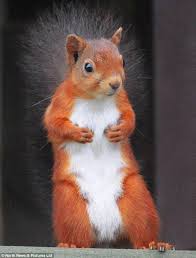 Check spelling or type a new query. Pin On Ideas For The House