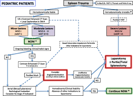 Ruptured intraparenchymal hematoma with active bleeding laceration: Splenic Trauma Wses Classification And Guidelines For Adult And Pediatric Patients World Journal Of Emergency Surgery Full Text