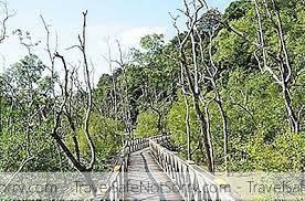 Taman negara malaysia dibuka pada 1938/1939 sebagai taman negara king george v. 10 Taman Negara Terbaik Di Malaysia Yang Akan Menggemaskan Cinta Anda Untuk Alam Hidupan Liar 2021