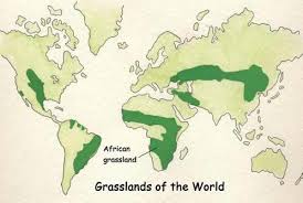 Biomes In The United States Map The African Veldt And Savannah Grassland World Geography Map Grassland Habitat