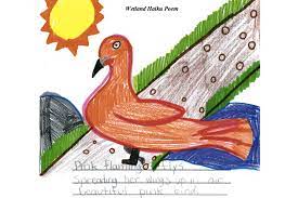 An english written haiku poem. Haiku Poems Mongabay Kids