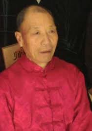 Tai Chi style Chen Xiaojia Vidéos (Taijiquan 陈氏太极拳小架)