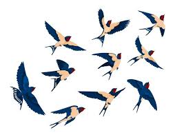 For most people, flying is the feature that distinguishes birds from the plethora of animals on earth. Free Vector Background With Blue Flying Birds