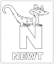 Click on the image to view the pdf. Newt Coloring Free Animal Coloring Pages Sheets Newt