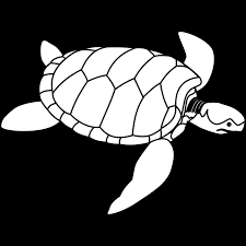 Turtle Outline Png Svg Clip Art For Web Download Clip Art Png Icon Arts Available in png and vector. turtle outline png svg clip art for