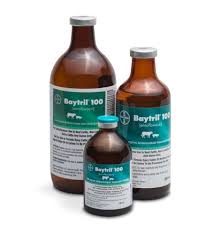 Baytril 100 Enrofloxacin Injectable For Cattle Bayer