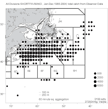 Shortfin Mako Shark Research