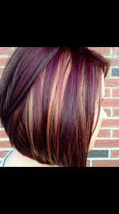 Blended With Purple Hair Styles Plum Hair Dark Plum Hair