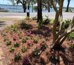 Image result for Pink 1972 Roper