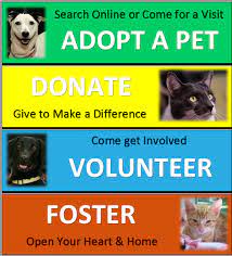 Petsense® has everything you need for your new pet including all of the essentials like pet food, toys, treats and services to keep them happy and healthy! Nj Animal Events Adoption Network Home Facebook