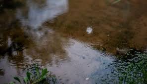 El clima en buenos aires se presenta como un día con un cielo parcialmente nublado y con probabilidad de lloviznas y neblinas. Pronostico Para Buenos Aires Ultimas Noticias En Agrofy News