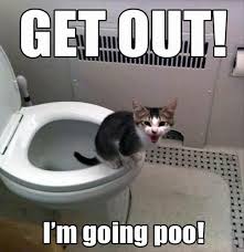Hey Leave Me Alone I M Pooping Animal Jokes Funny Animal Jokes Funny Animal Quotes