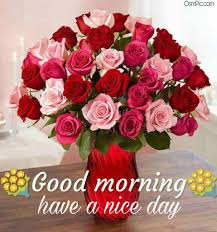 Why are they called the … 55 Good Morning Rose Flowers Images Pictures With Romantic Red Roses