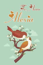 Te Amo Alexia: San valentin Cuaderno