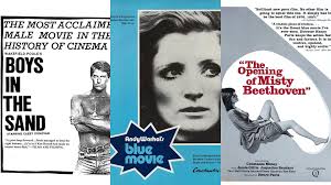 Funny Porn Film Names, 10 Hilarious Porn Parody Titles