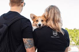 My pet carnivore coupon & promo code | verified feb 2021. 10 Great Sources For Finding Raw Dog Food Primal Pooch